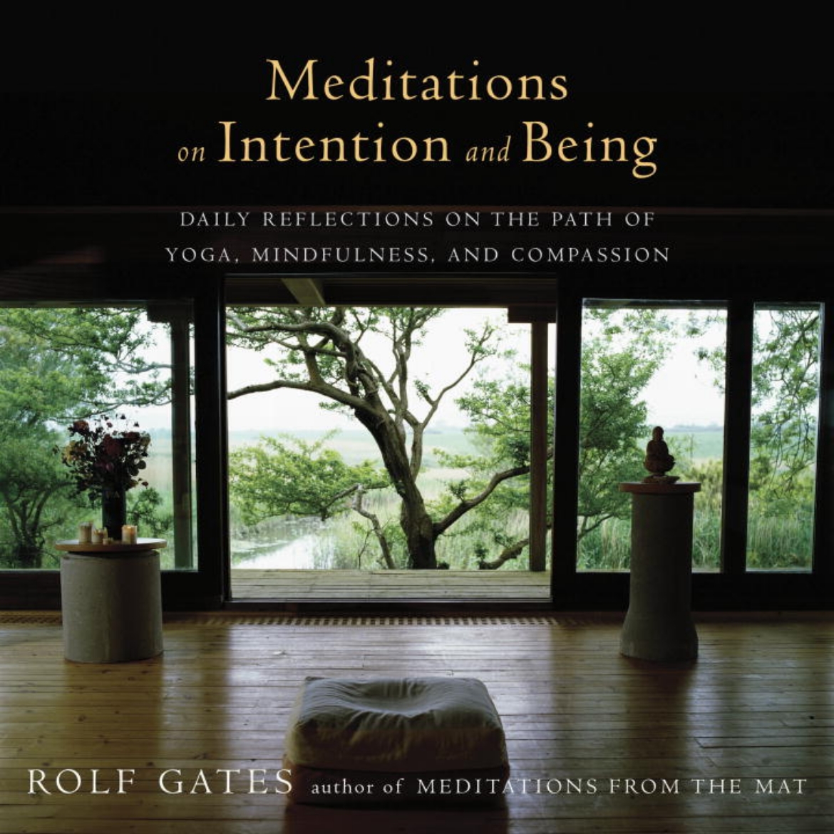 Picture of Meditations on intention and being