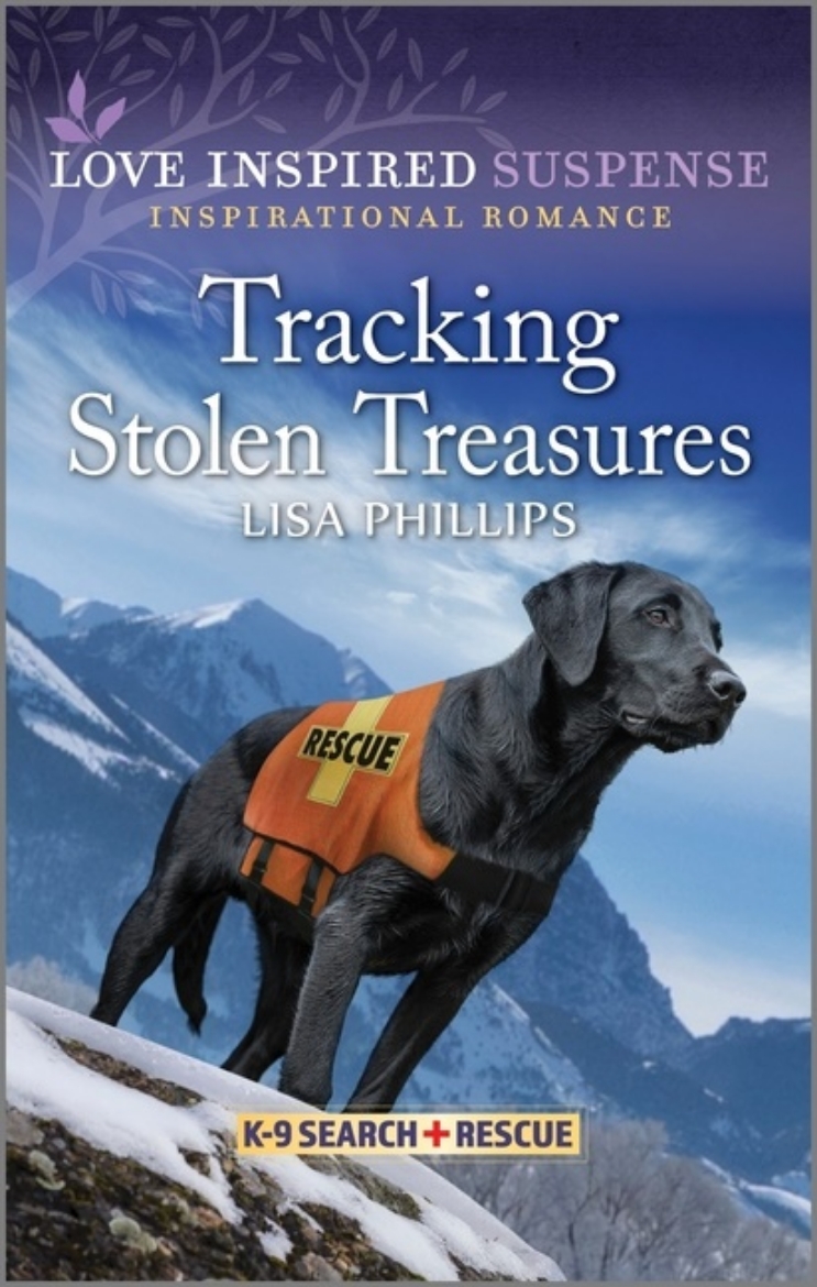 Picture of Tracking Stolen Treasures