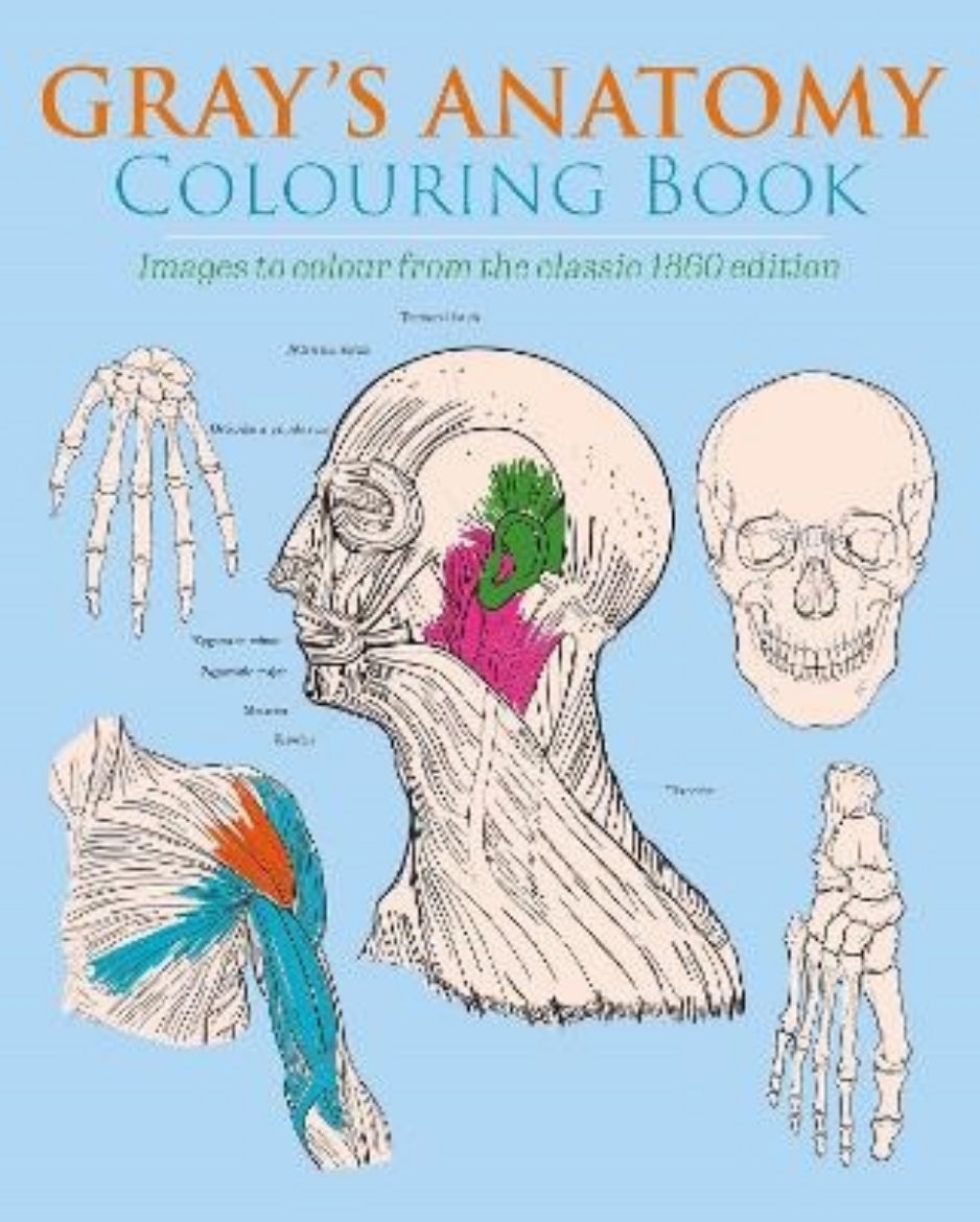 Picture of Gray's Anatomy Colouring Book