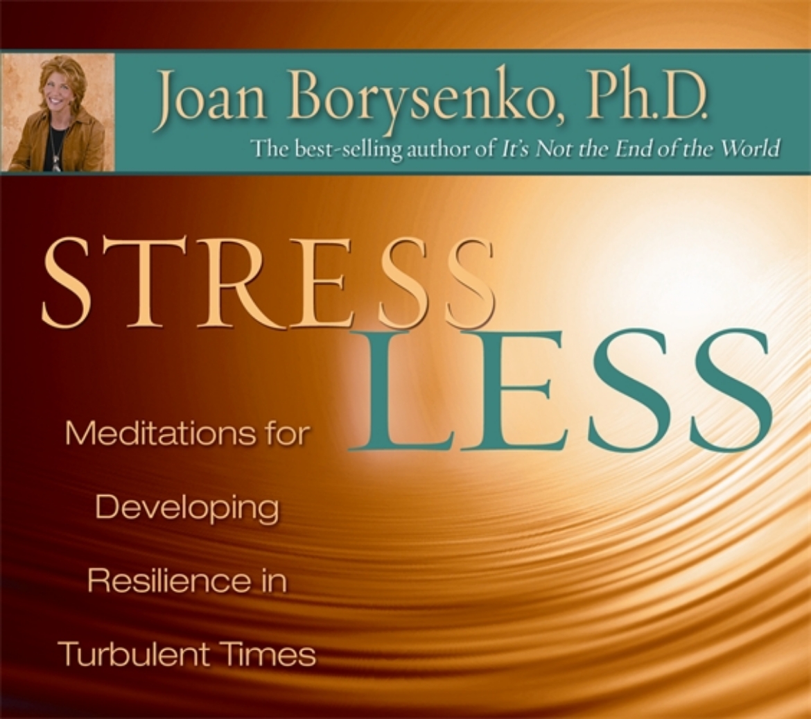 Picture of Stress Less: Meditations for Developing Resilience in Turbulent Times