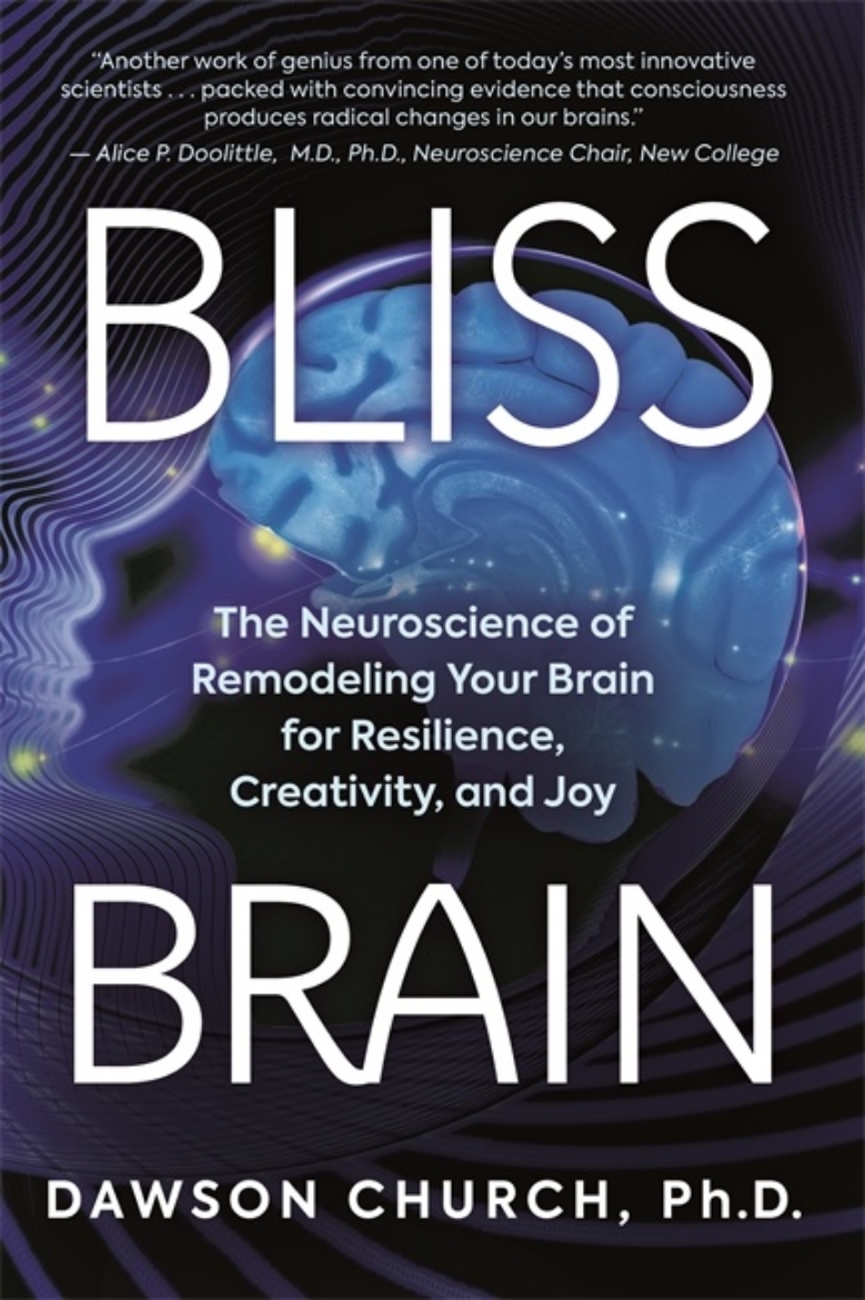 Picture of Bliss Brain