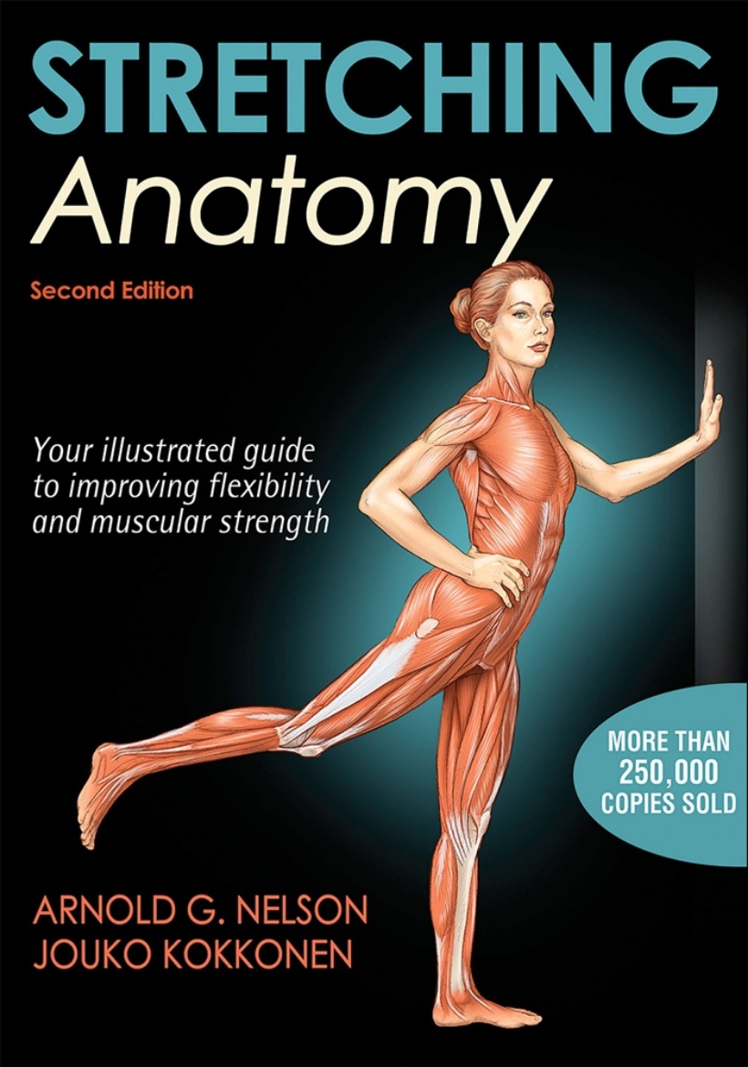 Picture of Stretching anatomy