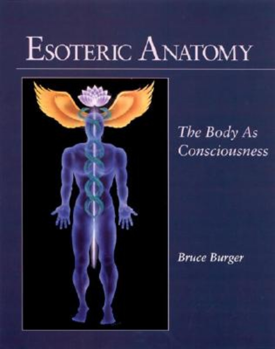 Picture of Esoteric Anatomy