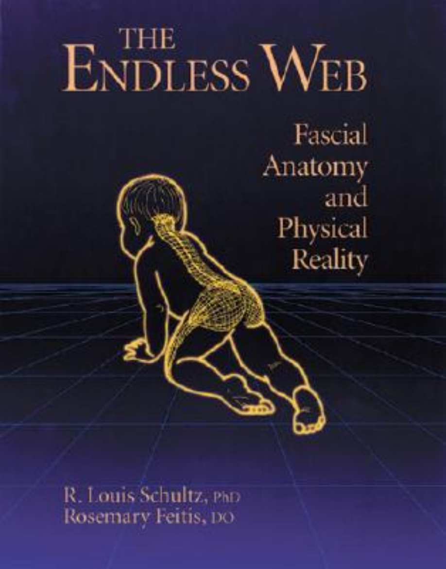 Picture of The Endless Web