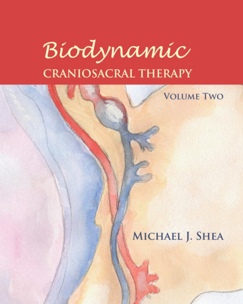 Picture of Biodynamic Craniosacral Therapy, Volume Two