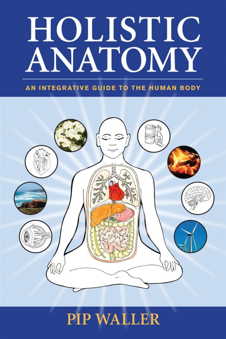 Picture of Holistic anatomy - an integrative guide to the human body