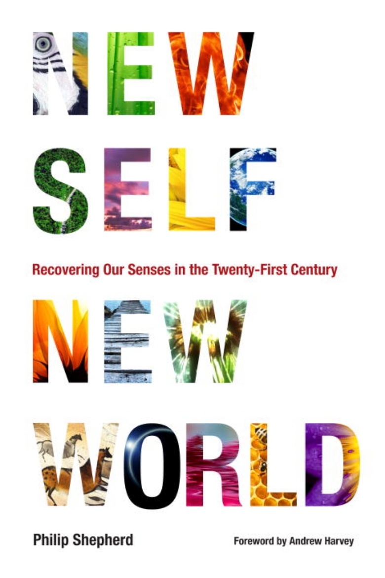 Picture of New Self, New World