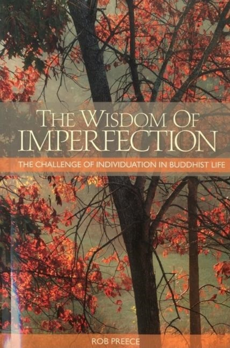 Picture of Wisdom Of Imperfection: The Challenge Of Individuation In Buddhist Life (2nd Edition)