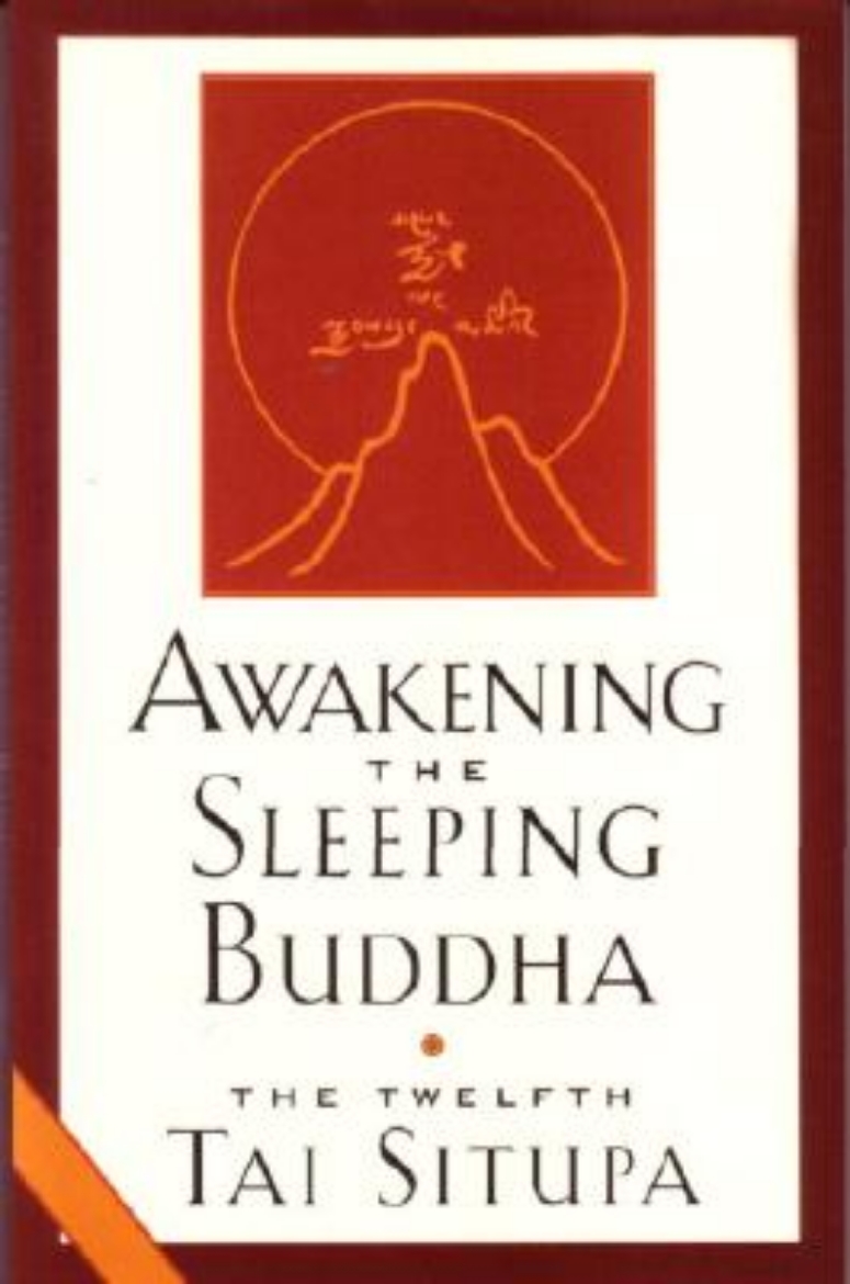 Picture of Awakening the Sleeping Buddha