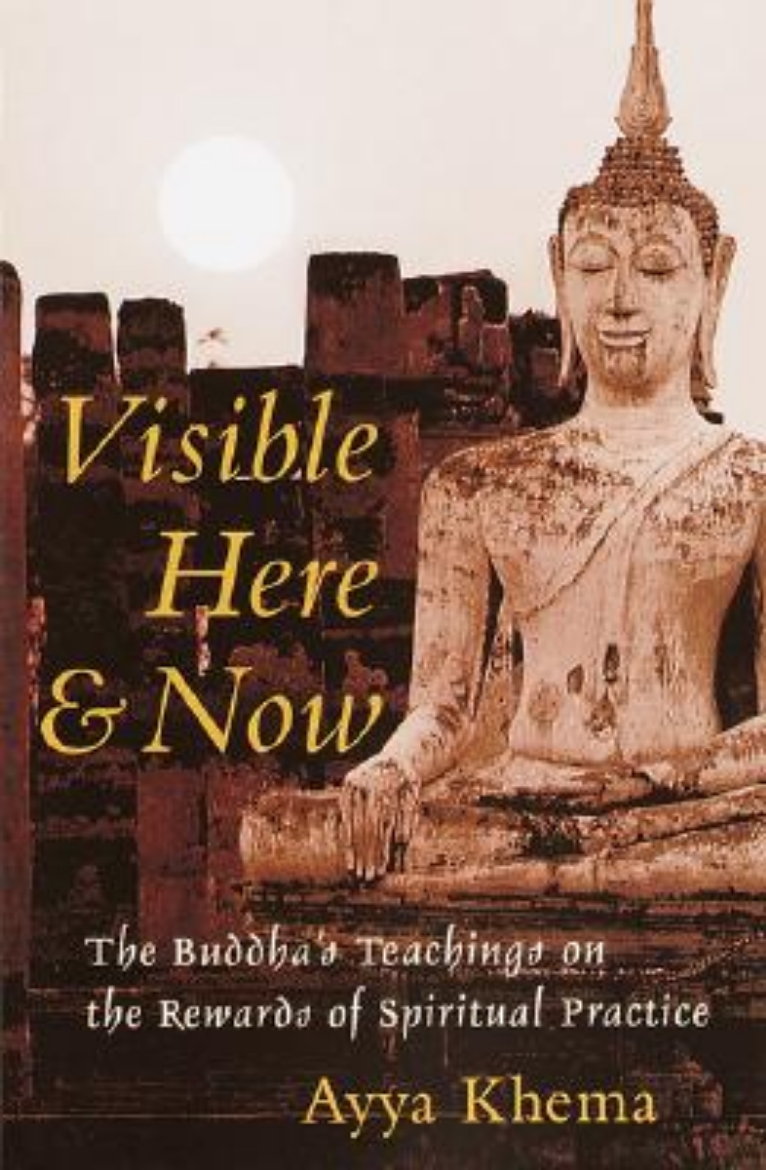 Picture of Visible Here and Now