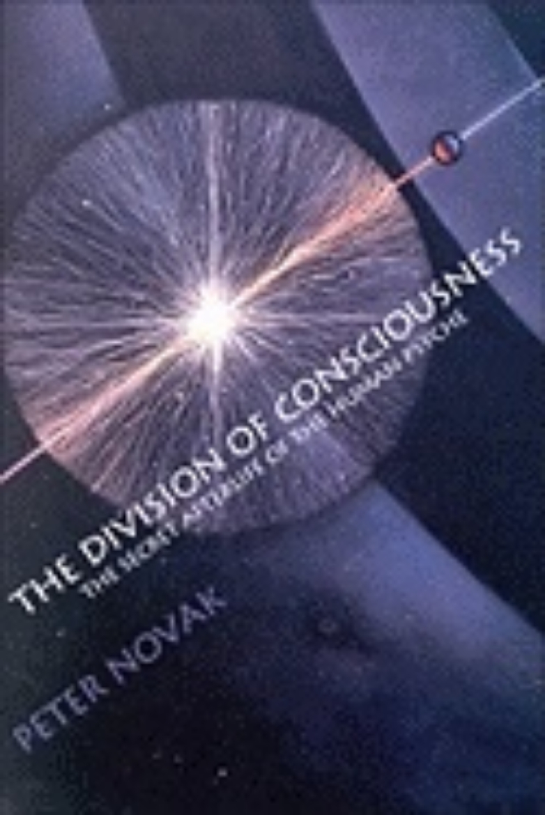 Picture of Division Of Consciousness : The Secret Afterlife of the Human Psyche