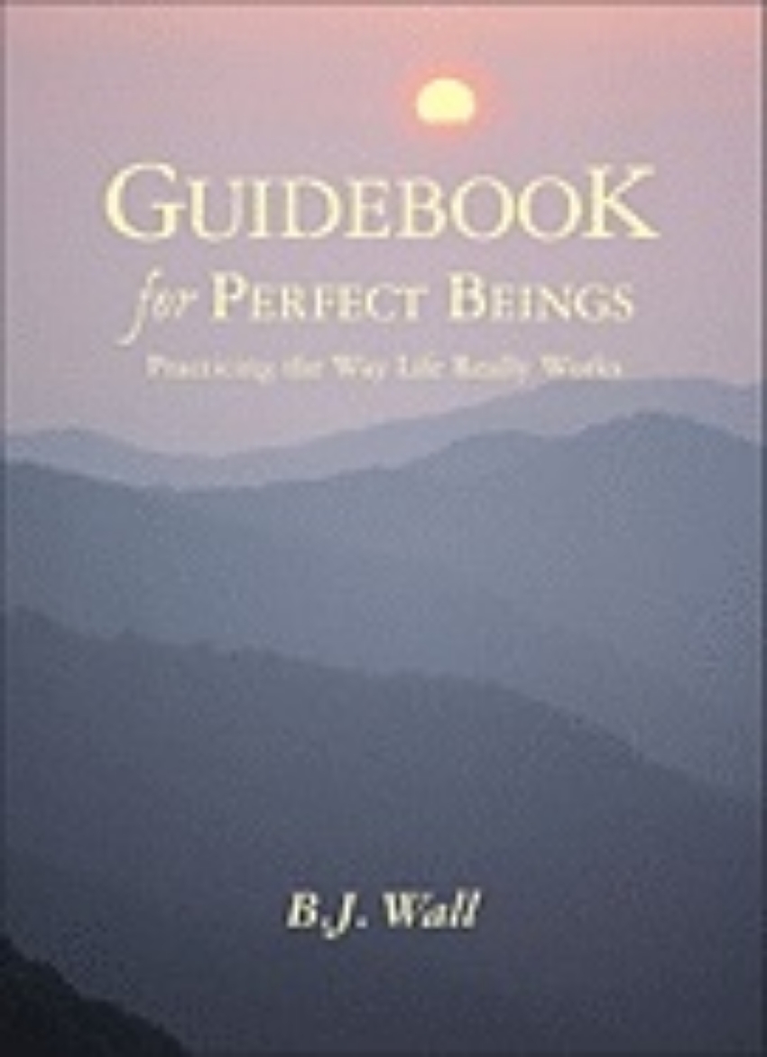 Picture of Guidebook for perfect beings - practicing the way life really works