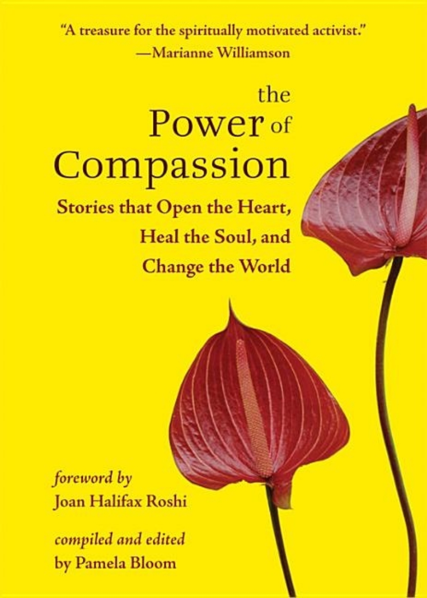 Picture of Power Of Compassion: Stories That Open The Heart, Heal The Soul & Change The World