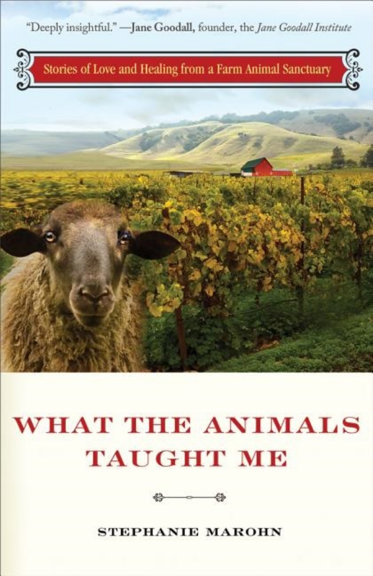 Picture of What The Animals Taught Me: Stories Of Love & Healing From A Farm Animal Sanctuary