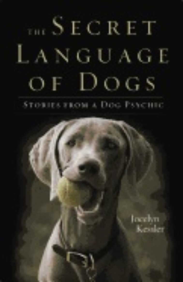 Picture of Secret Language Of Dogs : Stories From a Dog Psychic