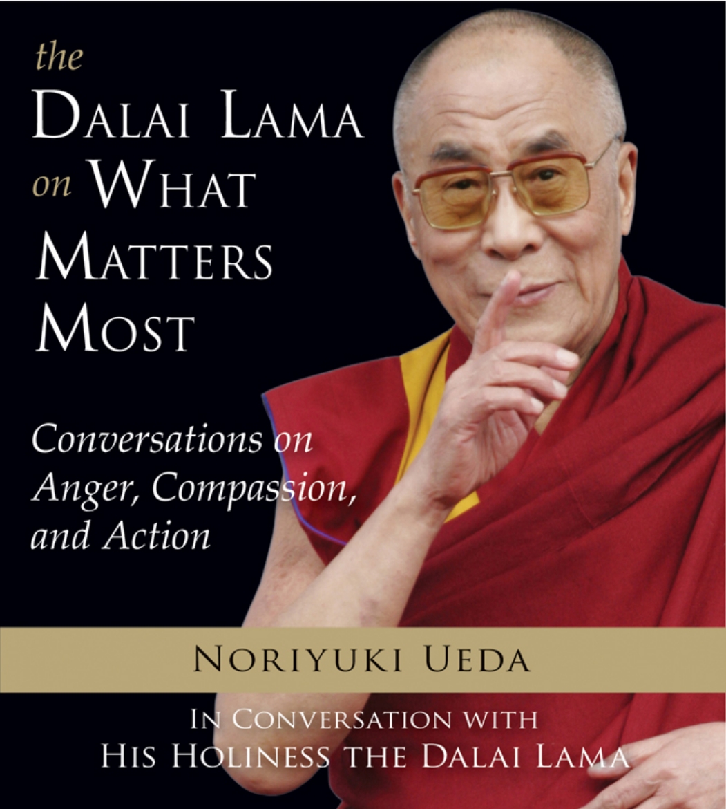 Picture of DALAI LAMA ON WHAT MATTERS MOST: Conversations On Anger, Compassion & Action