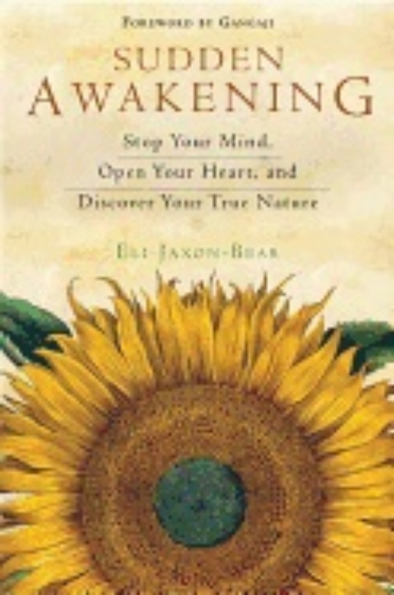 Picture of Sudden Awakening : Stop Your Mind, Open Your Heart, and Discover Your True Nature