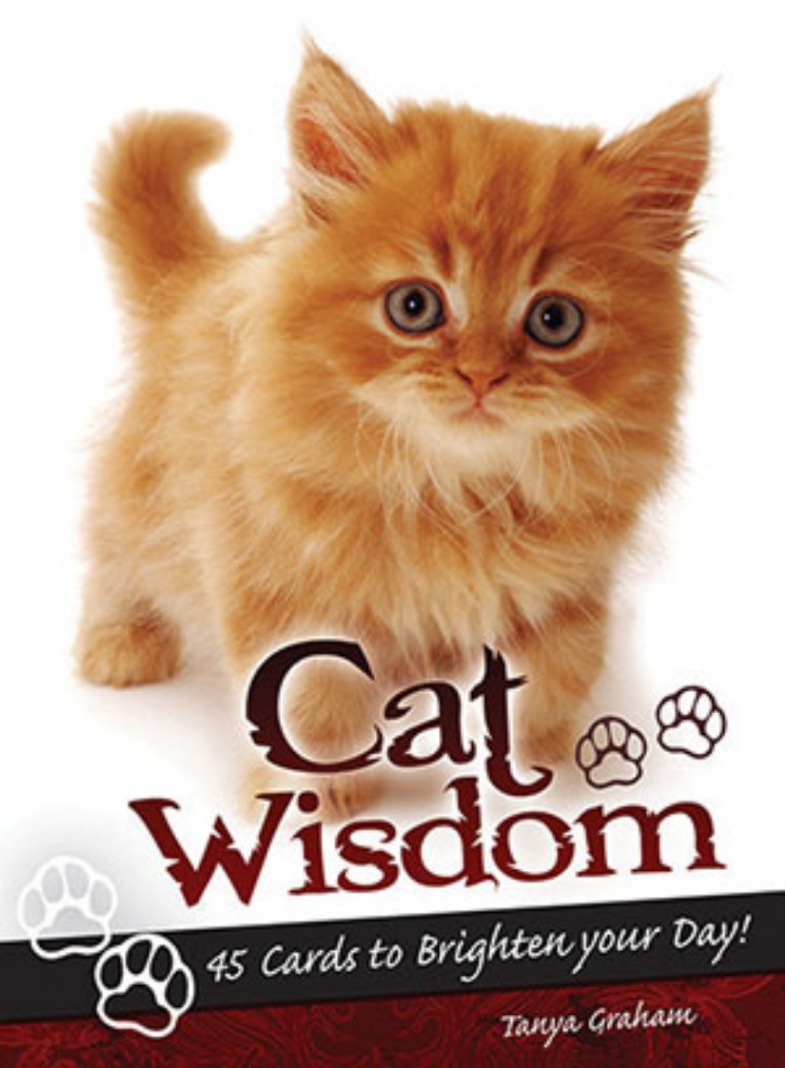 Picture of Cat Wisdom Cards