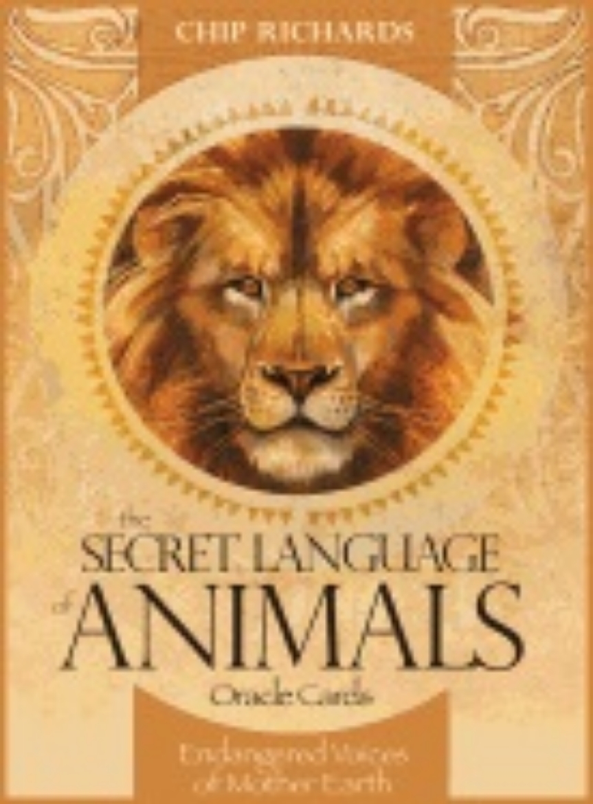 Picture of Secret language of animals oracle cards