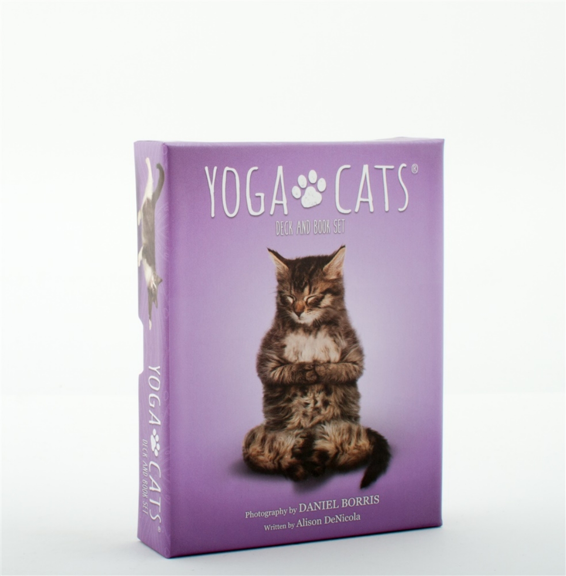 Picture of Yoga Cats Deck & Book Set