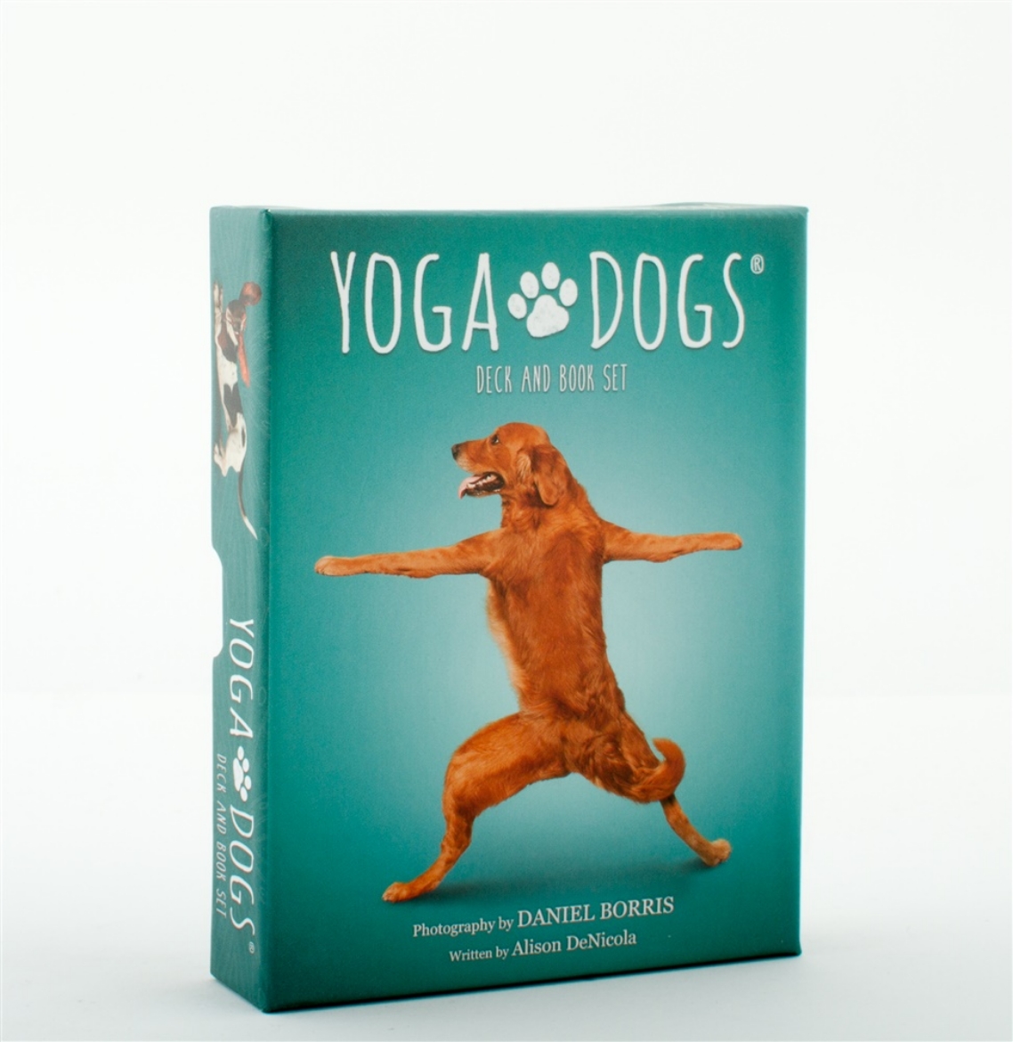 Picture of Yoga Dogs Deck & Book Set