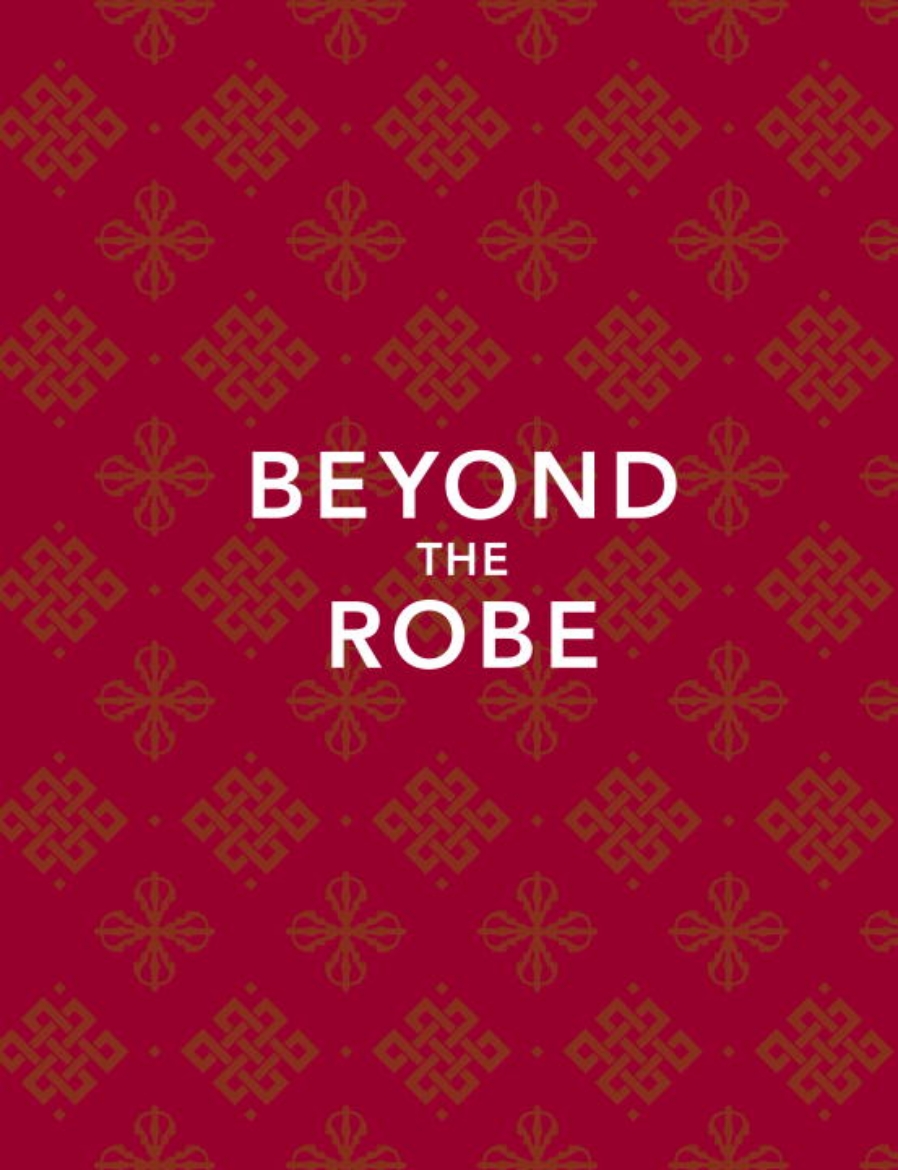 Picture of Beyond the Robe