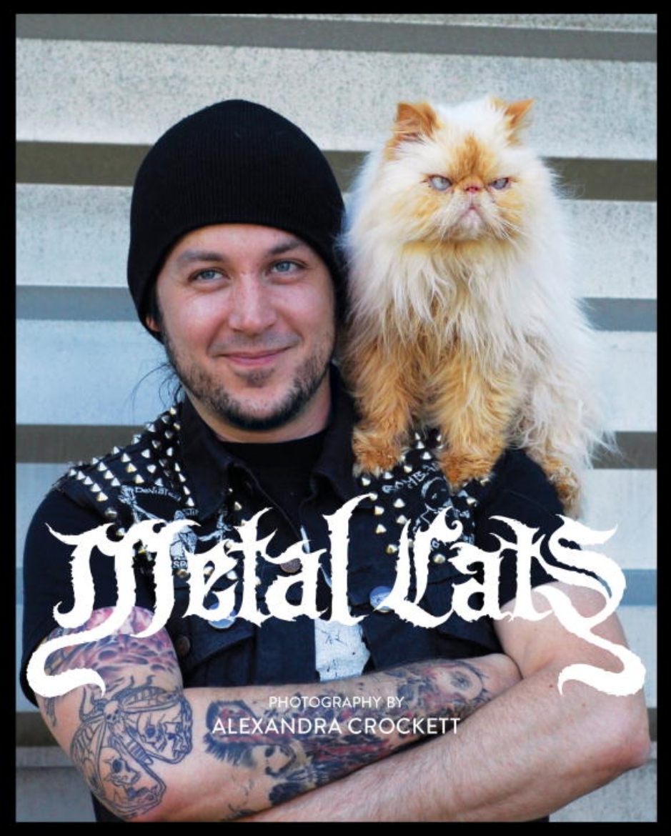 Picture of Metal Cats