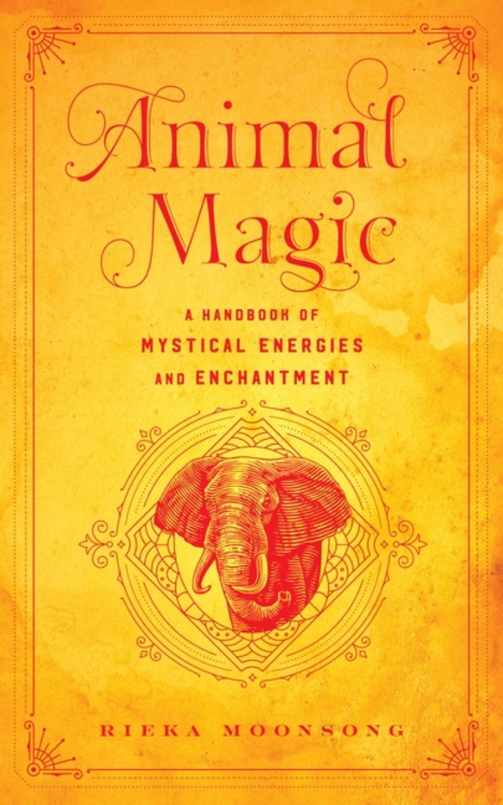 Picture of Animal Magic