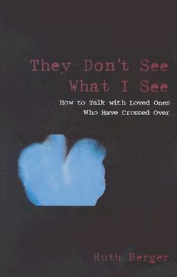 Picture of They Don't See What I See: How to Talk with Loved Ones Who Have Crossed Over