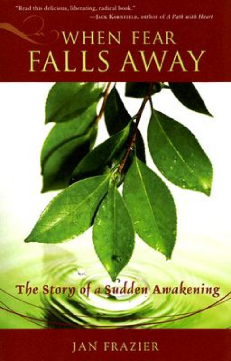 Picture of When fear falls away - the story of a sudden awakening