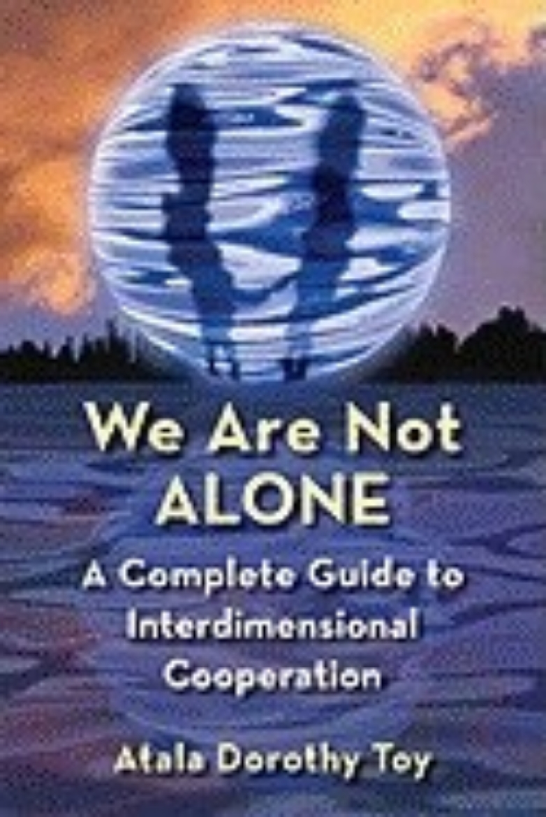 Picture of We Are Not Alone: A Complete Guide to Interdimensional Cooperation