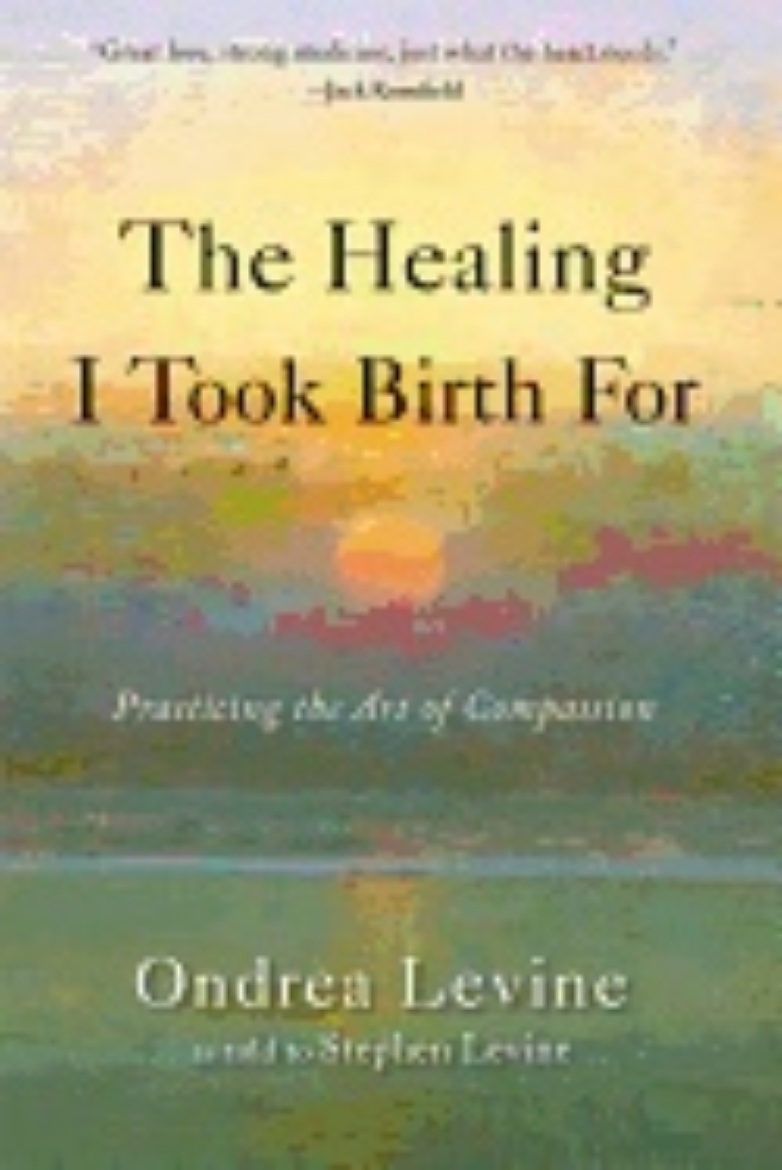 Picture of Healing i took birth for - practicing the art of compassion