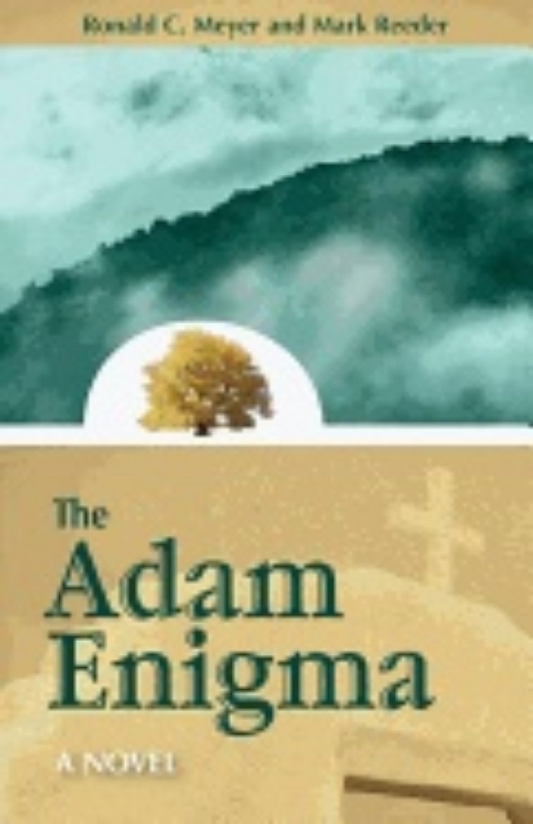 Picture of Adam enigma - a novel