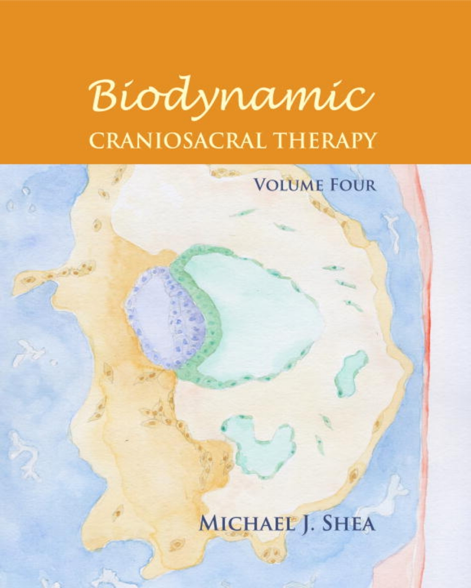 Picture of Biodynamic Craniosacral Therapy, Volume Four