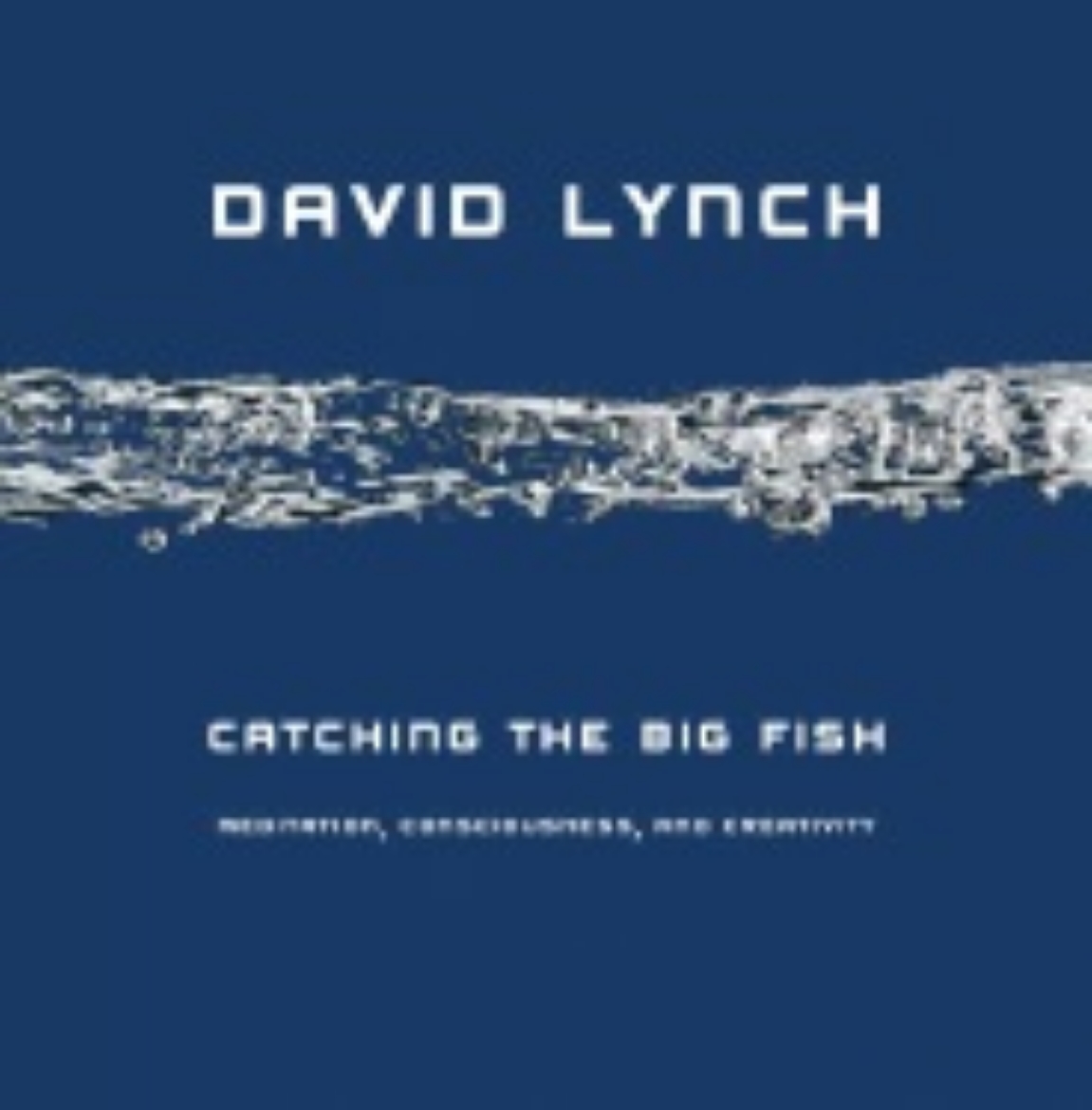 Picture of Catching the big fish - meditation, consciousness and creativity