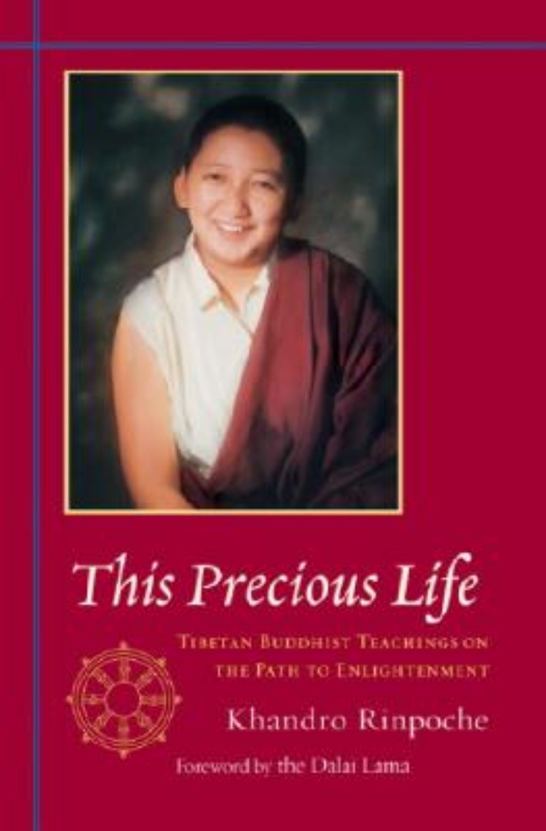 Picture of This precious life - tibetan buddhist teachings on the path to enlightenmen