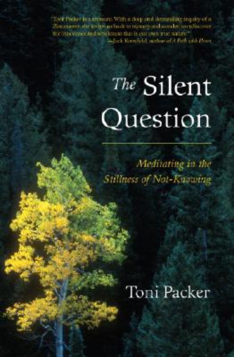 Picture of The Silent Question