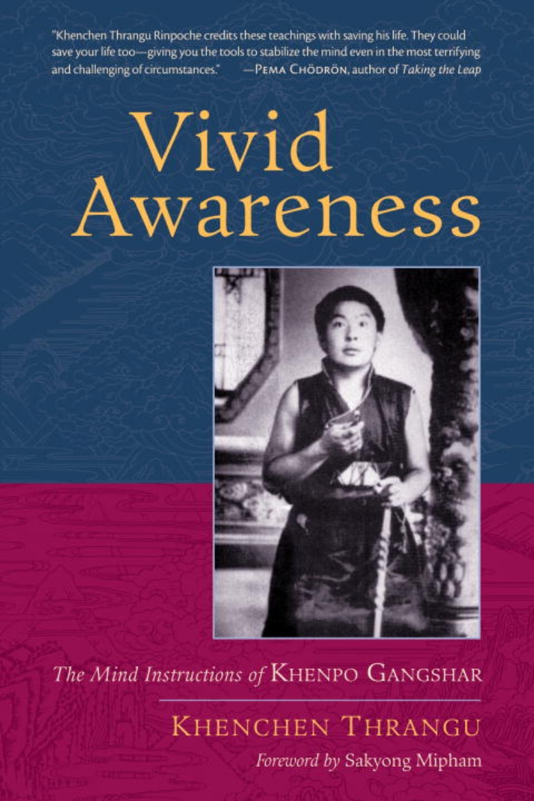 Picture of Vivid Awareness