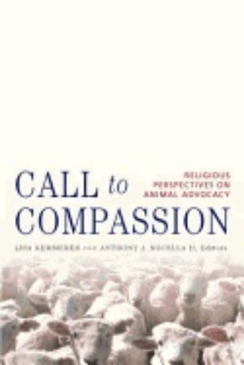 Picture of Call To Compassion