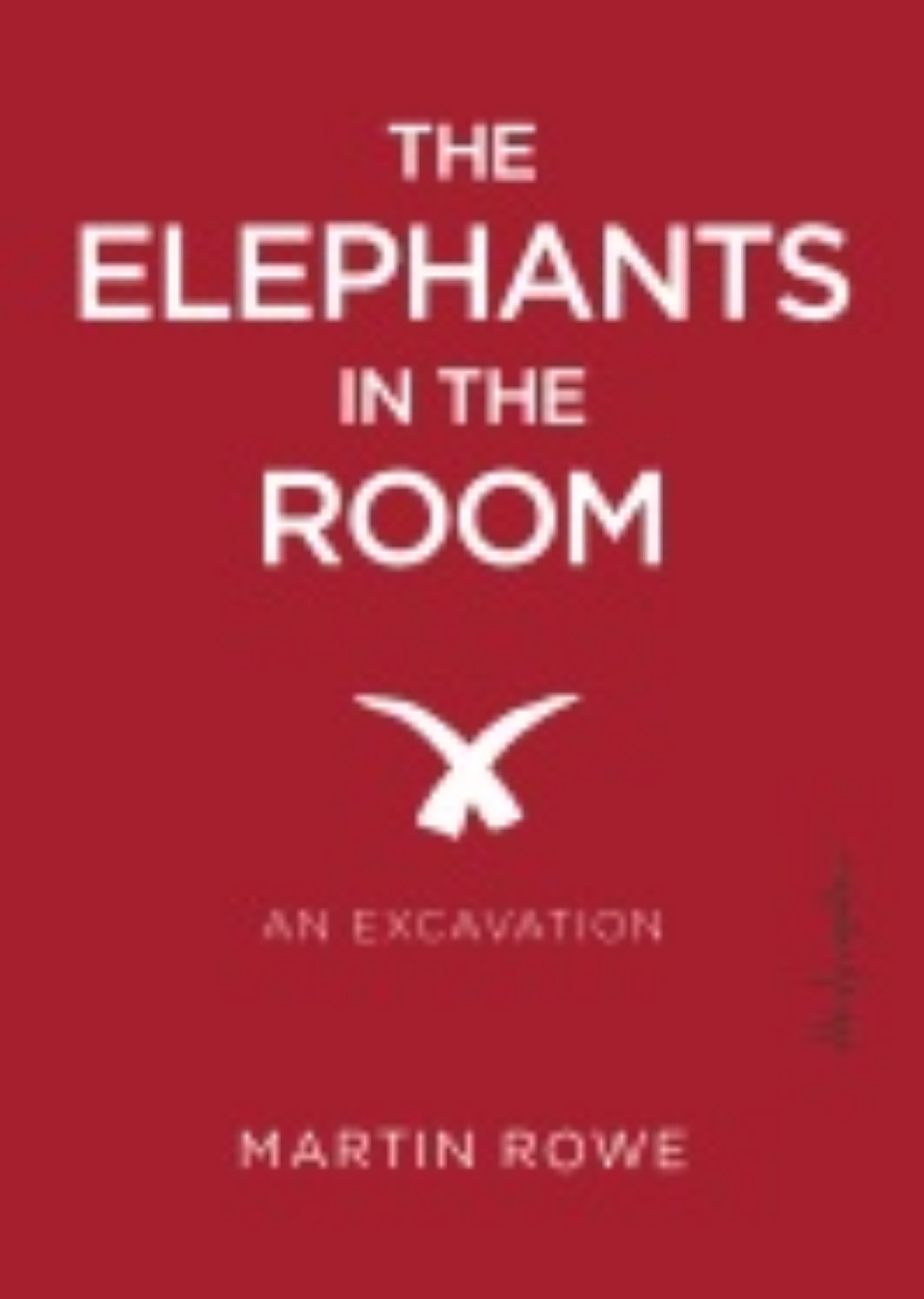 Picture of Elephants In The Room : An Excavation