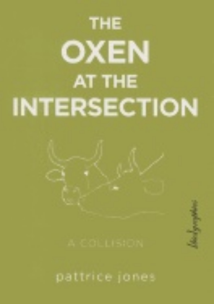 Picture of Oxen At The Intersection : A Collision