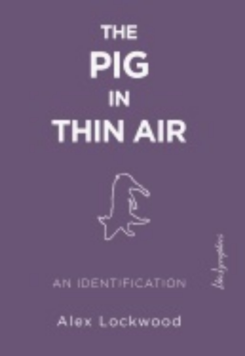 Picture of Pig In Thin Air : An Identification