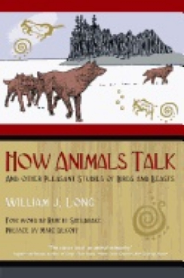 Picture of How Animals Talk : And Other Pleasant Studies of Birds and Beasts