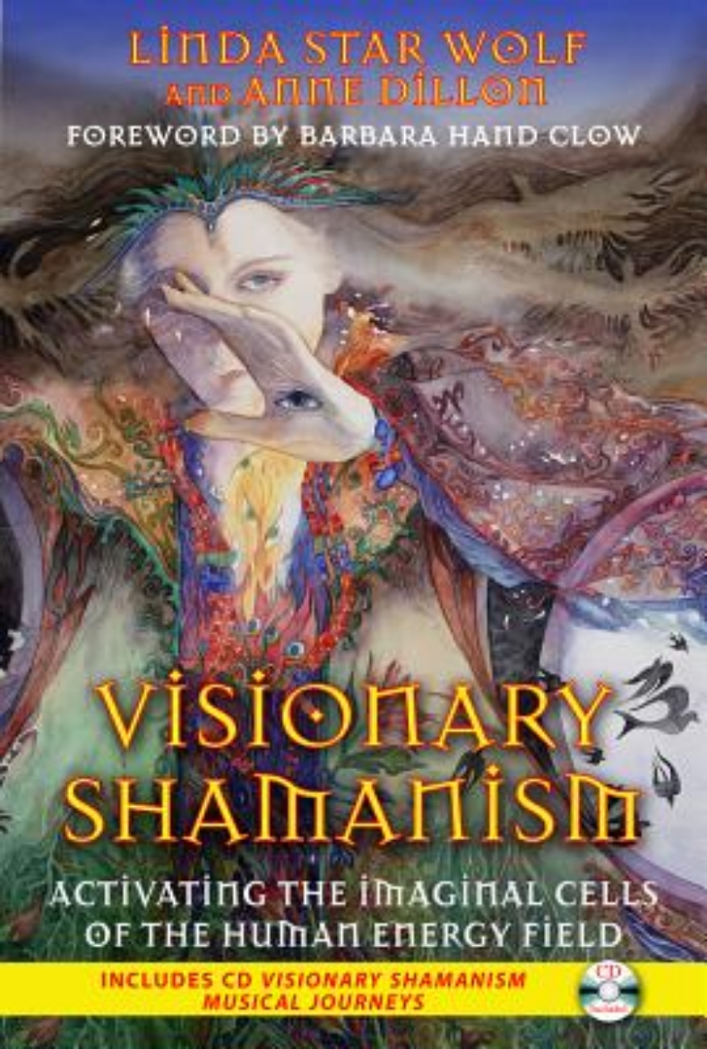 Picture of Visionary shamanism - activating the imaginal cells of the human energy fie