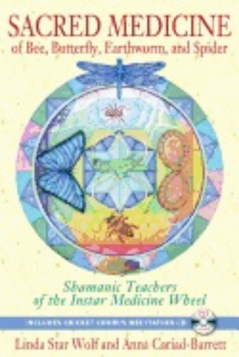 Picture of Sacred medicine of bee, butterfly, earthworm, and spider - shamanic teacher