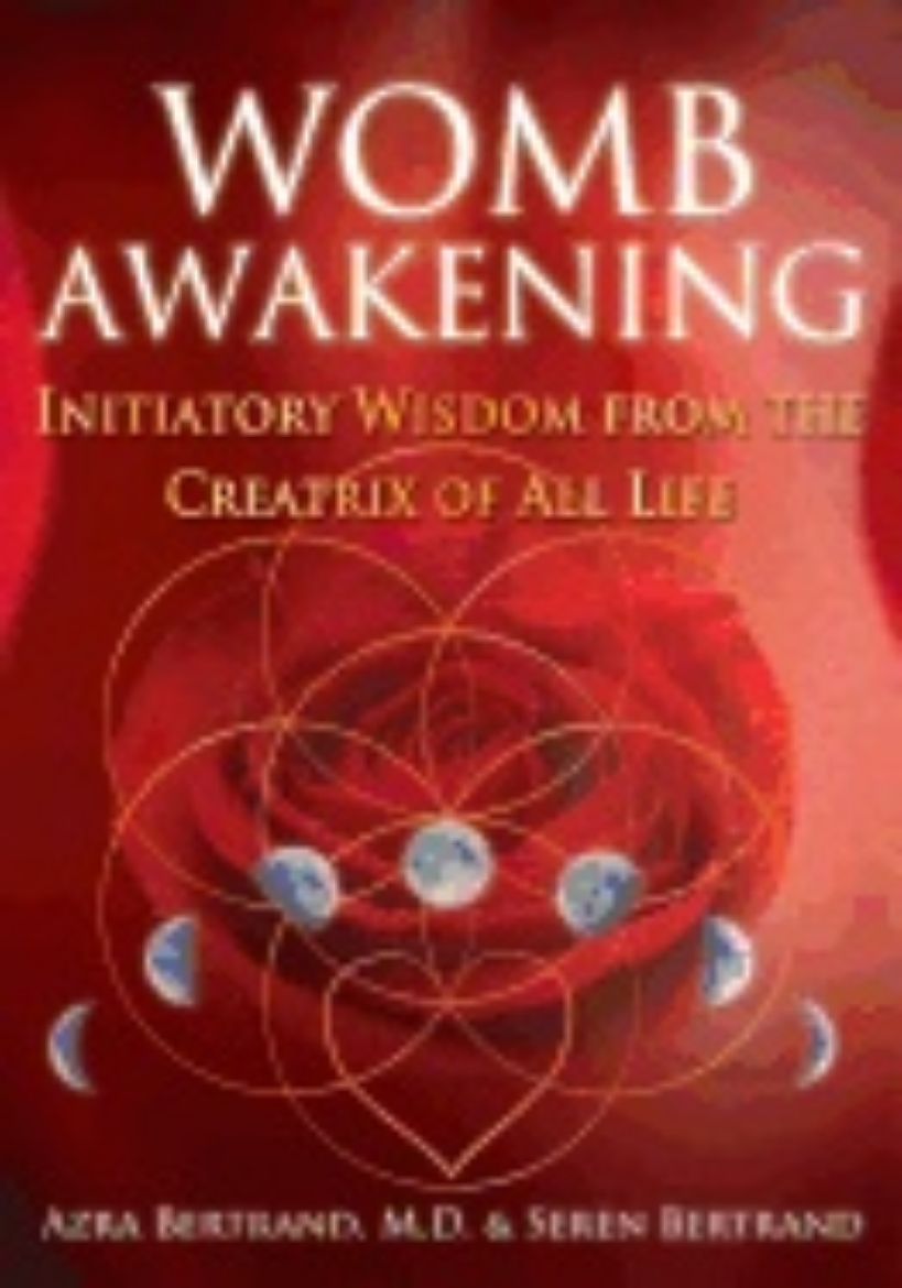 Picture of Womb awakening - initiatory wisdom from the creatrix of all life