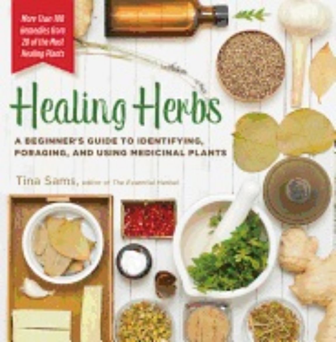 Picture of Healing herbs - a beginners guide to identifying, foraging, and using medic