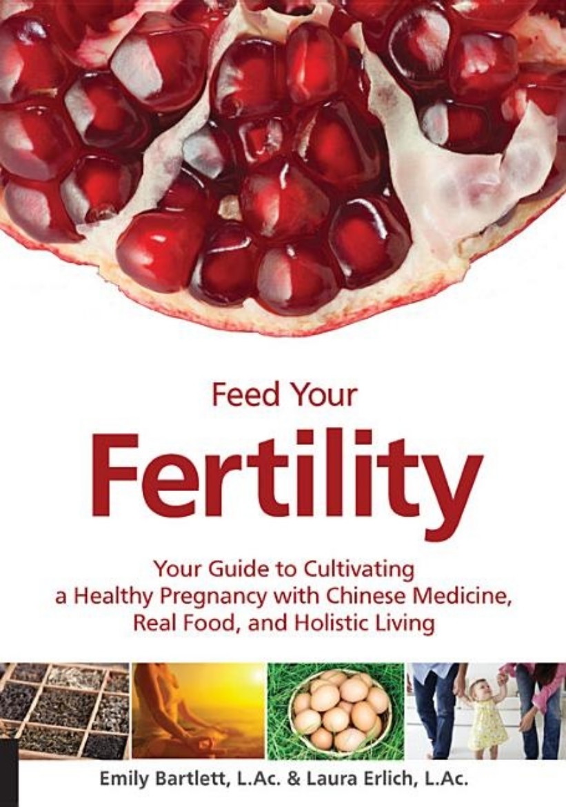 Picture of Feed your fertility - your guide to cultivating a healthy pregnancy with ch