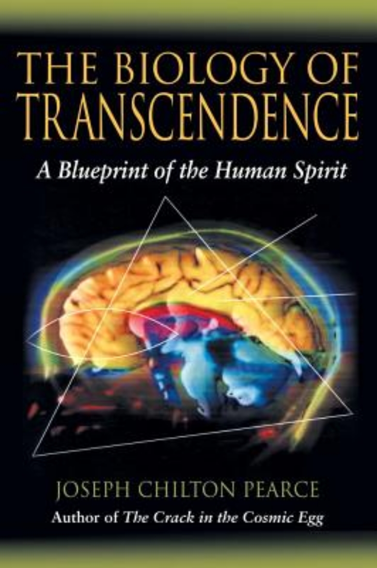 Picture of Biology Of Transcendence: A Blueprint Of The Human Spirit (Q