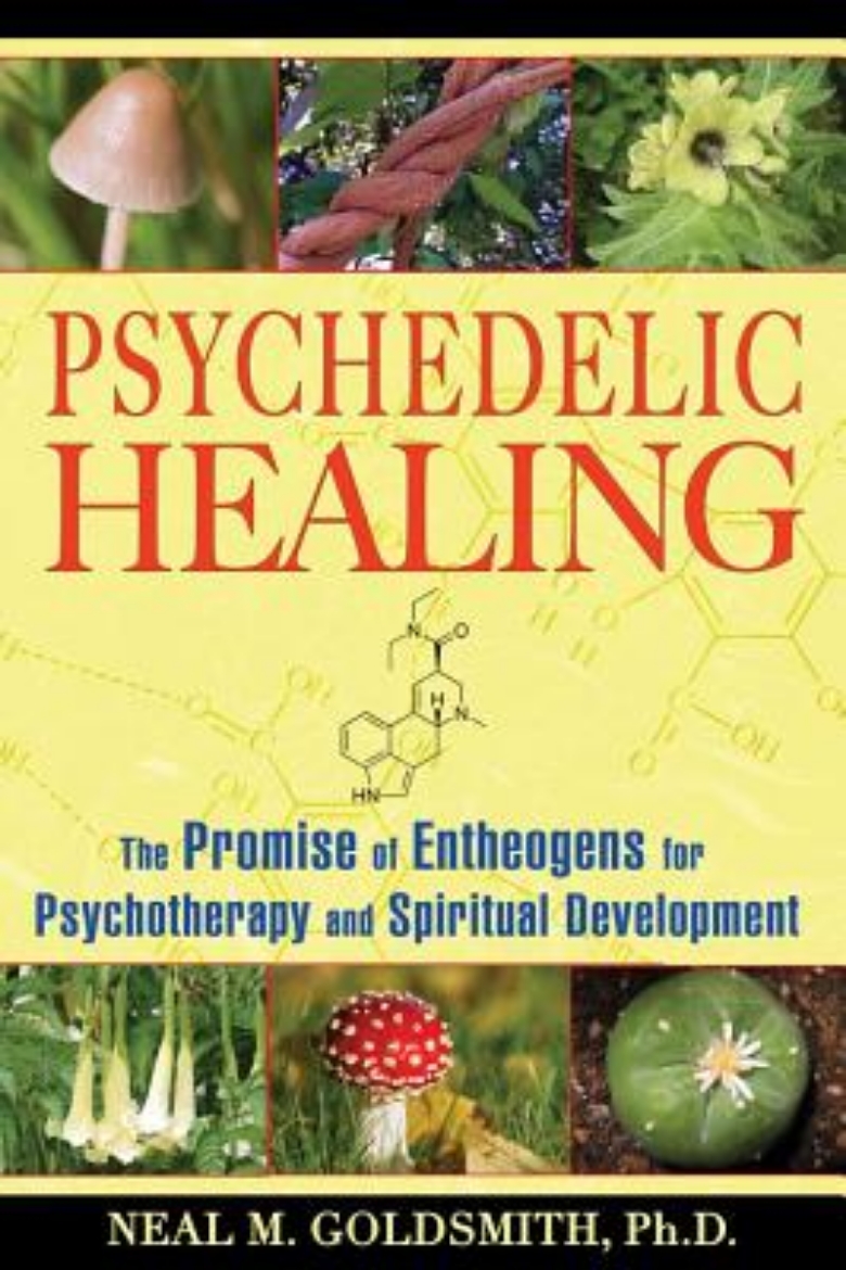 Picture of Psychedelic Healing: The Promise Of Entheogens For Psychotherapy & Spiritual Development